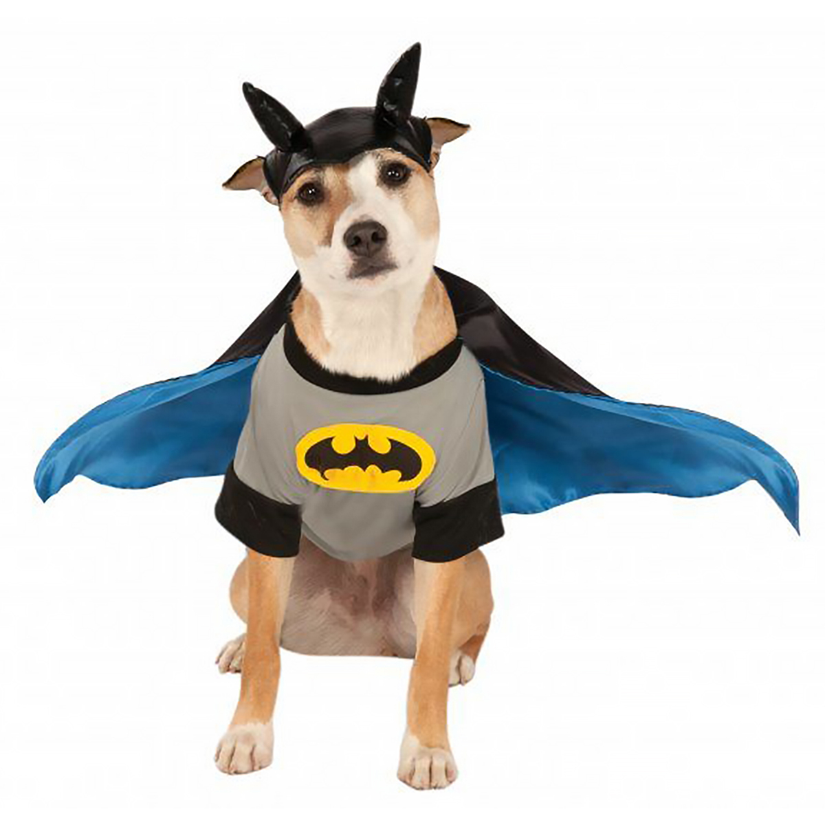 Hunddräkt Batman-S